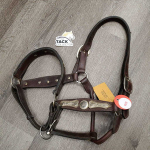 Thick Leather Western Horsemanship Halter, silver *vgc, clean, mnr scraped edges & film