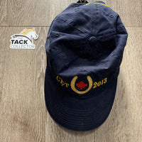 "CET 2013" Ball Cap *gc, faded, hairy
