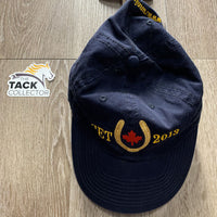 "CET 2013" Ball Cap *gc, faded, hairy
