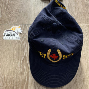 "CET 2013" Ball Cap *gc, faded, hairy