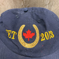 "CET 2013" Ball Cap *gc, faded, hairy
