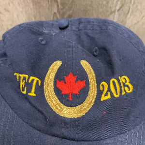 "CET 2013" Ball Cap *gc, faded, hairy