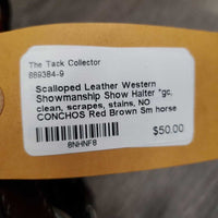 Scalloped Leather Western Showmanship Show Halter *gc, clean, scrapes, stains, NO CONCHOS
