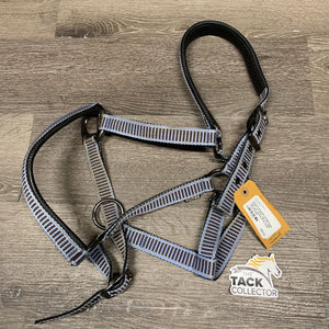 Padded Nylon Halter, ad, snap *vgc, mnr edge rubs, dirt, discolored & stains, frayed holes