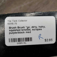 Brush Brush *gc, dirty, hairy, squished bristles, scrapes
