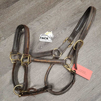 Rsd/Padded Leather Halter, snap, adj *fair, rubs, repaired, faded, scraped, thin, chewed, cracking, dirty
