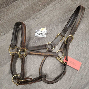 Rsd/Padded Leather Halter, snap, adj *fair, rubs, repaired, faded, scraped, thin, chewed, cracking, dirty