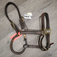 Rsd/Padded Leather Halter, snap, adj *fair, rubs, repaired, faded, scraped, thin, chewed, cracking, dirty
