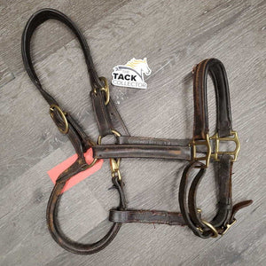 Rsd/Padded Leather Halter, snap, adj *fair, rubs, repaired, faded, scraped, thin, chewed, cracking, dirty