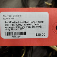 Rsd/Padded Leather Halter, snap, adj *fair, rubs, repaired, faded, scraped, thin, chewed, cracking, dirty
