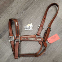 MacPherson Double Stitched Leather Show Halter with Engraved Silver *vgc, v. mnr dirt, rubs, sm dents, tarnished silver
