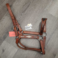 MacPherson Double Stitched Leather Show Halter with Engraved Silver *vgc, v. mnr dirt, rubs, sm dents, tarnished silver
