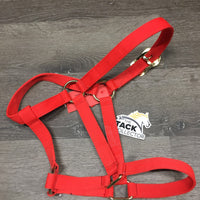 Nylon Halter *vgc/gc, clean, stains, older edges: linty, rubs & frays
