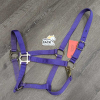 Thin Nylon Halter, snap *vgc, v. mnr dirt, scuffed plaiting
