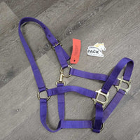 Thin Nylon Halter, snap *vgc, v. mnr dirt, scuffed plaiting
