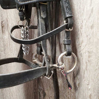 Driving Bridle, Half Cheek, Over Check, Blinders *gc, clean & dusty, rubs, dings, cracks
