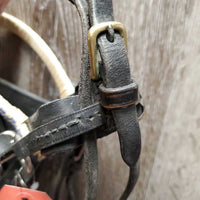 Driving Bridle, Half Cheek, Over Check, Blinders *gc, clean & dusty, rubs, dings, cracks
