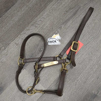 Adjustable Double Stitched Leather Halter, nameplate *gc, dirt, stains, rubs, oxidized scuffed hardware
