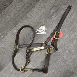 Adjustable Double Stitched Leather Halter, nameplate *gc, dirt, stains, rubs, oxidized scuffed hardware