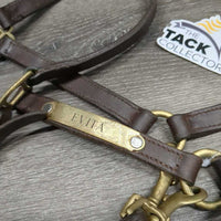 Adjustable Double Stitched Leather Halter, nameplate *gc, dirt, stains, rubs, oxidized scuffed hardware
