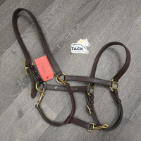 Adjustable Double Stitched Leather Halter, nameplate *gc, dirt, stains, rubs, oxidized scuffed hardware
