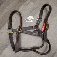 Thick Triple Leather Halter *vgc, mnr rust, scrapes & dirt, scraped edges, nameplate holes, broken threads, stains, older
