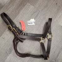 Thick Triple Leather Halter *vgc, mnr rust, scrapes & dirt, scraped edges, nameplate holes, broken threads, stains, older
