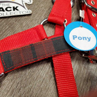 Nylon Halter, Ribbon, snap *like new