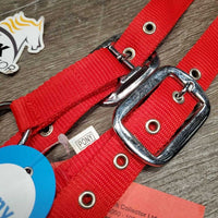 Nylon Halter, Ribbon, snap *like new
