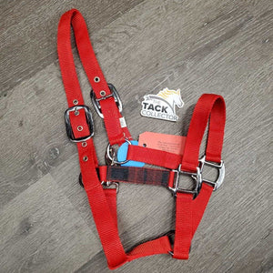 Nylon Halter, Ribbon, snap *like new