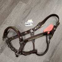 Double Stitched Leather Engraved Alpaca Silver Show Halter *new, oxidized screws, lightly tarnished
