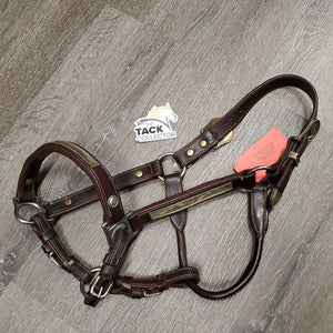 Double Stitched Leather Engraved Alpaca Silver Show Halter *new, oxidized screws, lightly tarnished