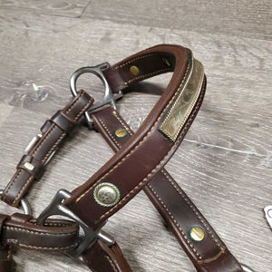 Double Stitched Leather Engraved Alpaca Silver Show Halter *new, oxidized screws, lightly tarnished