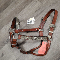 Double Stitched Leather Engraved Alpaca Silver Show Halter *new, lightly tarnished silver
