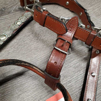 Double Stitched Leather Engraved Alpaca Silver Show Halter *new, lightly tarnished silver
