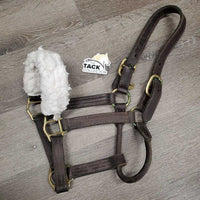 Thick - Double Leather Halter, fleece nose, tag *gc, dirt, film, green gunk, rubs, mnr scraped edges
