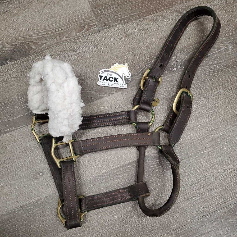 Thick - Double Leather Halter, fleece nose, tag *gc, dirt, film, green gunk, rubs, mnr scraped edges