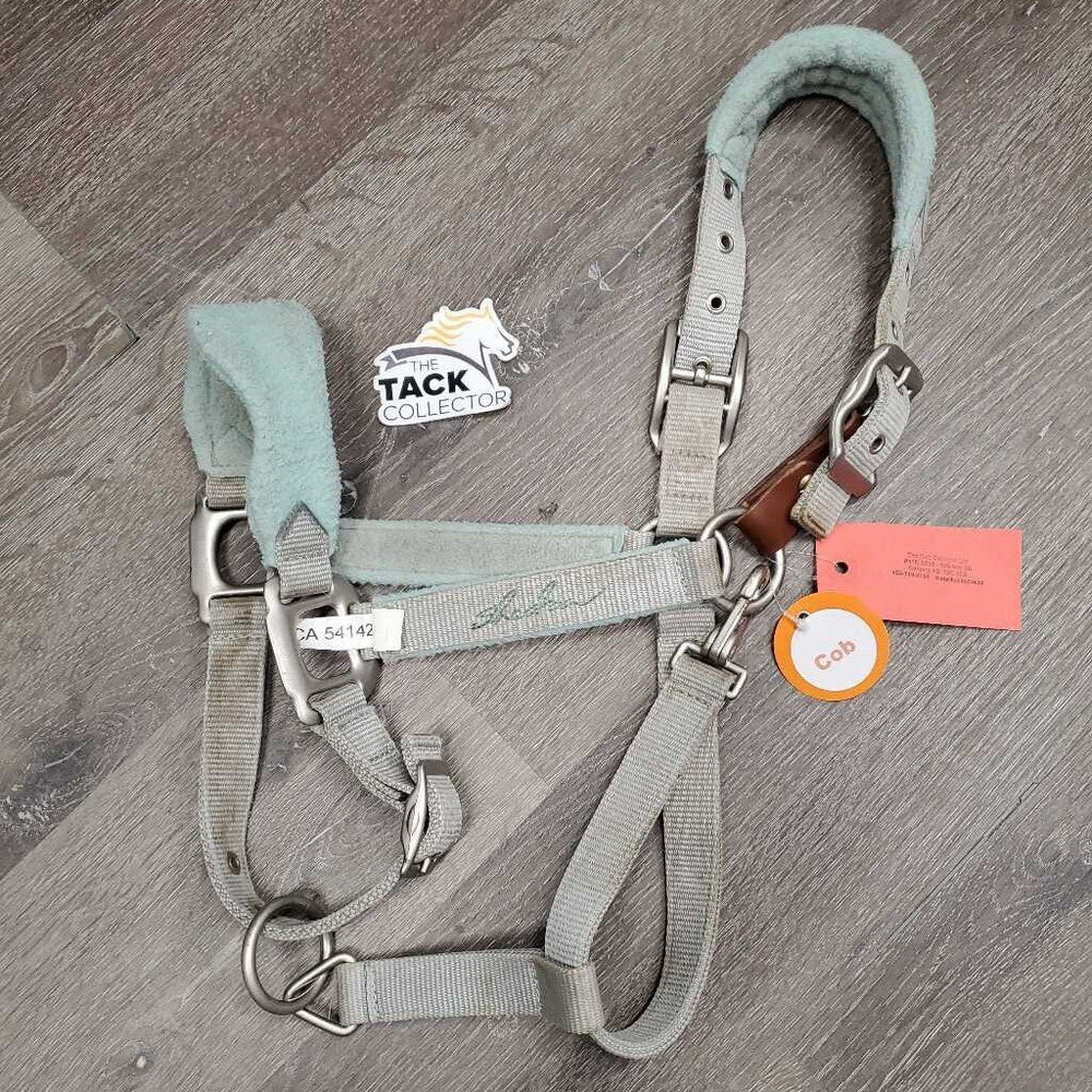 Fleece & Nylon Halter, snap, adj, breakaway *gc, discolored, v.stained, clumpy, hairy