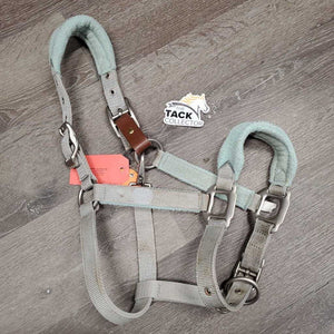 Fleece & Nylon Halter, snap, adj, breakaway *gc, discolored, v.stained, clumpy, hairy