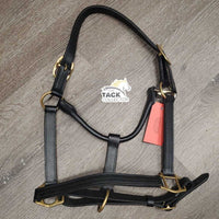 Thick Soft Leather Halter, adj, snap *xc, clean, mnr rubs & residue
