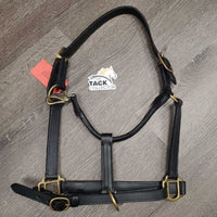 Thick Soft Leather Halter, adj, snap *xc, clean, mnr rubs & residue
