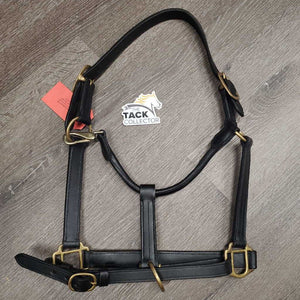 Thick Soft Leather Halter, adj, snap *xc, clean, mnr rubs & residue