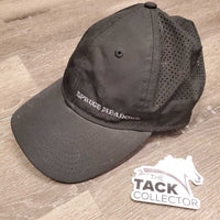 Mesh Ball Cap *xc/like new, sticker, mnr dusty & hairy
