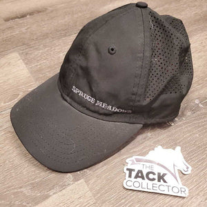 Mesh Ball Cap *xc/like new, sticker, mnr dusty & hairy
