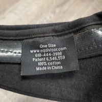 Helmet Sun Visor *gc, clean, faded, pills, rubs, hairy
