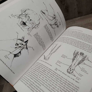 The Illustrated Veterinary Encyclopedia for Horsemen Equine Research *gc, bent, mnr dent, scratches, dirty, bent