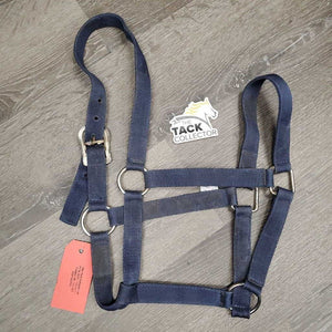 Thin Nylon Halter *gc, older, dirty, stains, discolored, mnr rust