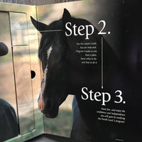 Parelli Harmony Level 2 Horsemanship Program - Complete Set: Dvd's, Tool Box, Cards, Guides, Map *like new
