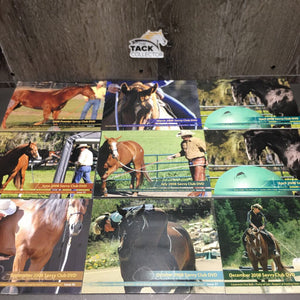 18 Parreli Savvy Club DVD's: 2008 x 9, 2009 x 8, 2010 x 1 *All conditions: new/unopened, vgc, gc, dirty, edge rubs