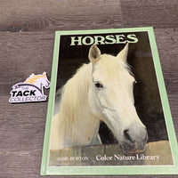 Horses by Jane Burton *gc, faded, mnr dirt & stains
